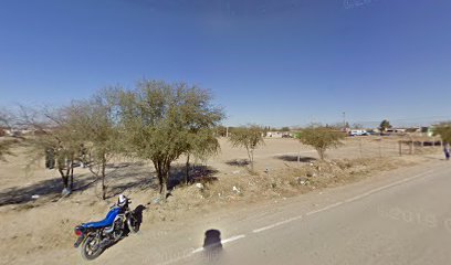 Pulga Los Nogales