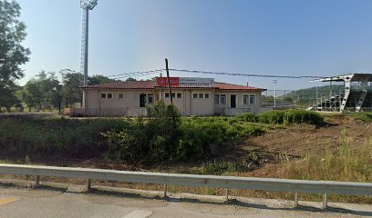 Gümüşova Ilçe Stadi
