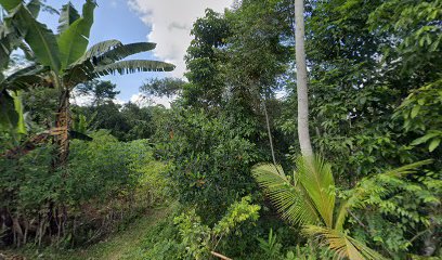 Kebon Pasir Tengah