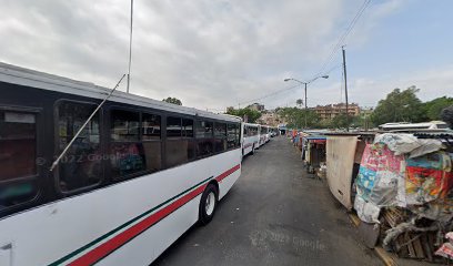 Autobuses Ometochtli