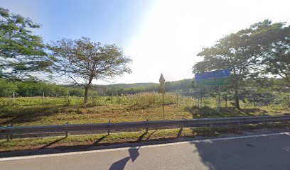 Dusun Durian Musang King
