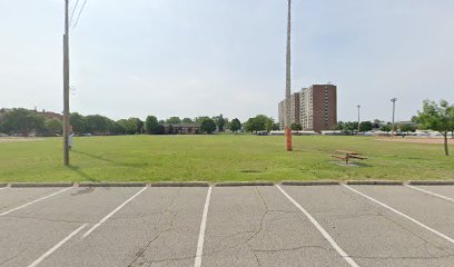 Ford Field Park ball fields