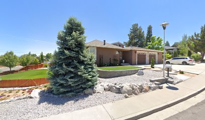 RENO TAHOE APPRAISAL INC