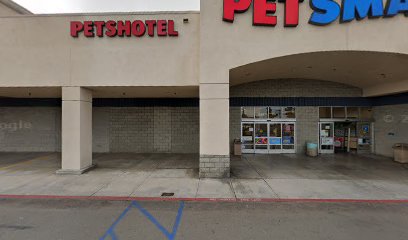 PetSmart Doggie Day Camp