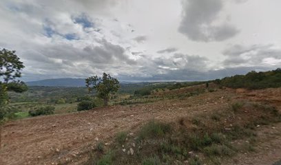 Transportes E Gruas Do Norte - Jacinto Sá - Sociedade Unipessoal, Lda.