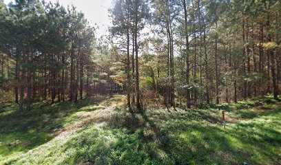 Lancaster Cemetery