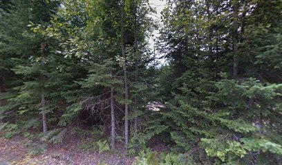 Camping Rivière-À-La-Pêche, parc de la Mauricie, site D21