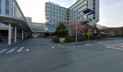 徳島赤十字病院ヘリポート
