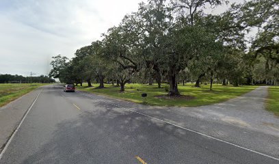 Magnolia Plantation