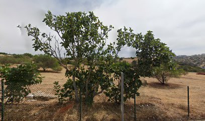 Alto dos Caliços