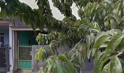 Rumah Ican Serang Taman Mutiara Indah