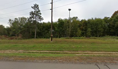 Osprey Nest