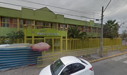 Colegio Bahía Darwin