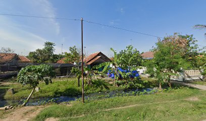 SASUKACARA FARM ( Ikan hias )