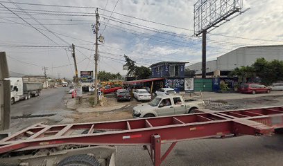 Tacos el koala