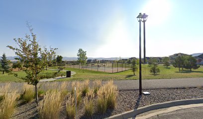 Basketball court