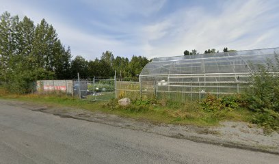 Boyer’s Orchard and Greenhouse