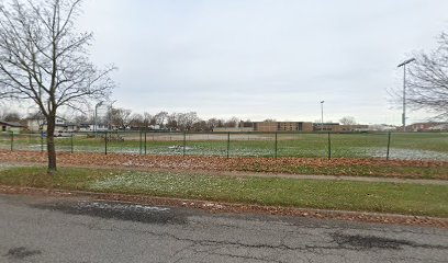 Westlane Secondary School Baseball Field