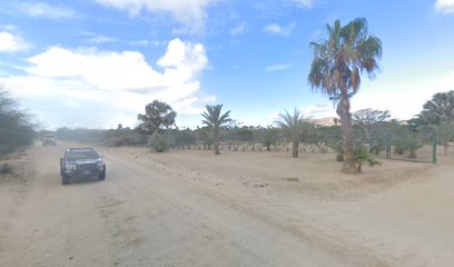 Vivero El Torote del Desierto