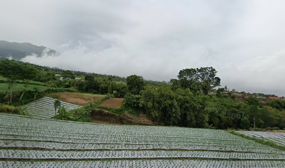 PEMAKAMAN SANGGAR-GAJIHAN-REJOSARI