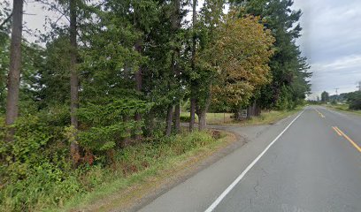 Ponderosa Sod Farm Ltd