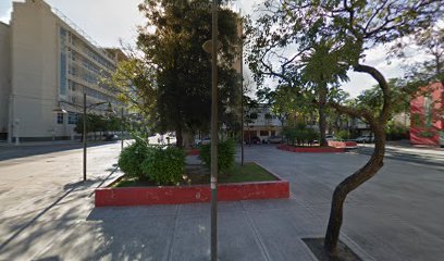 Colegio de Profesionales de Trabajo Social de Santiago del Estero