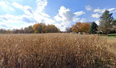 Browning Tree Farm