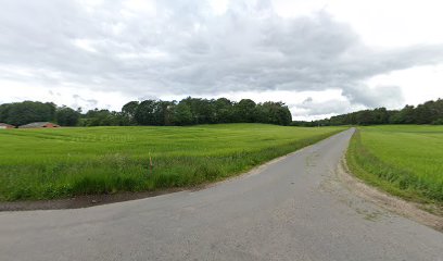 Langdyssevej/Kvorning Møllevej (Viborg Kom)