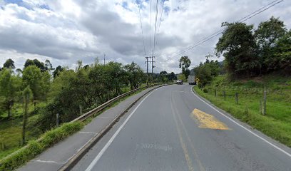 Transportes Refrigerados Paysandu