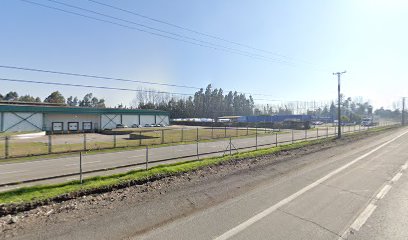 Exser planta Rosario