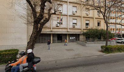 Ilustre Colegio De Procuradores De Badajoz