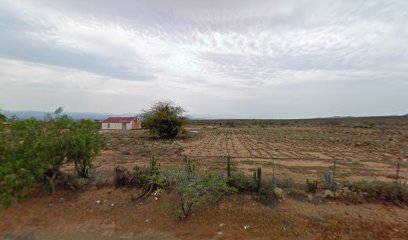 Armoed Cemetery