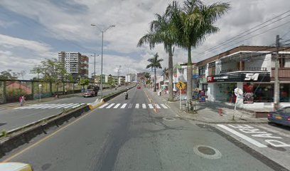 AGRICOLA Y PECUARIA DEL RIO S.A.