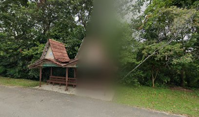 Kampung Telok Mas,Jalan Telok Mas/Alai
