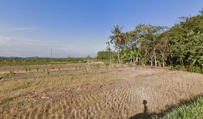 Mancing gabus cilacap barat