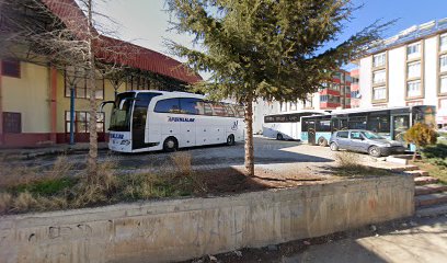 Afşin Metro Turizm