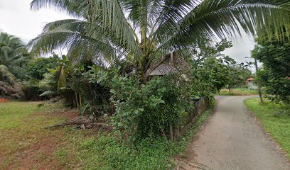 AYAM KAMPUNG BESUT