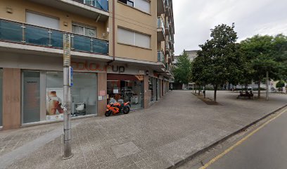 Colegio Oficial de Graduados Sociales de Girona