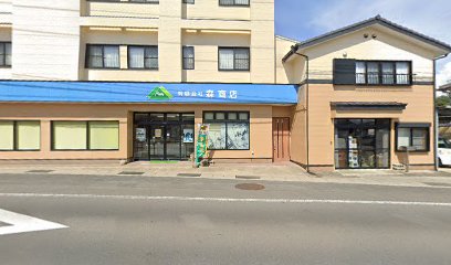 （有）森商店