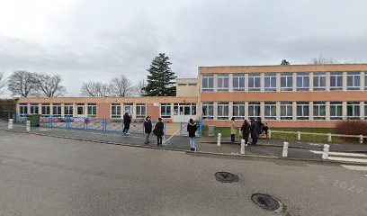 École Primaire Les Violettes
