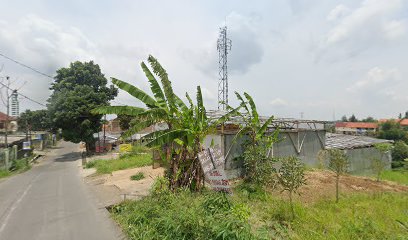 Tanah cianjuang