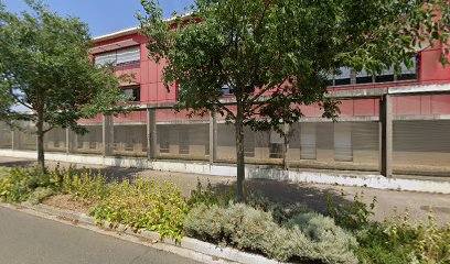 Collège Jean-Marie Gustave Le Clézio