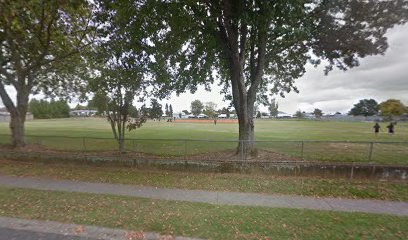 Te Awamutu College 2 cricket ground