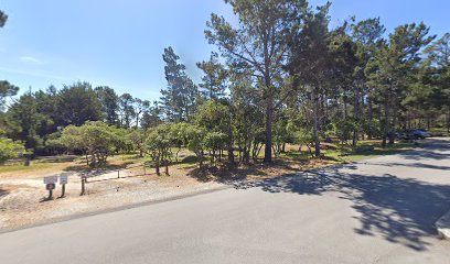 Group site # 3 Veterans Memorial Campground