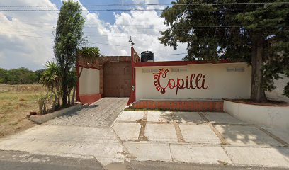 Recepciones Copilli