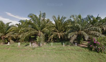 Pertubuhan Peladang Kawasan Masjid Tanah