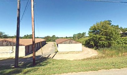 Conesus Turtle Stone Storage