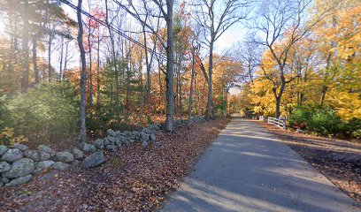 Wachusett Tree & Landscaping