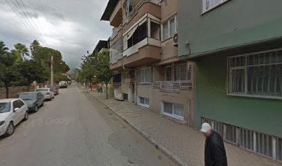 Aydın dağ inciri