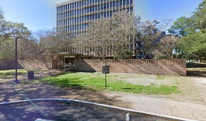 Brown College Tower